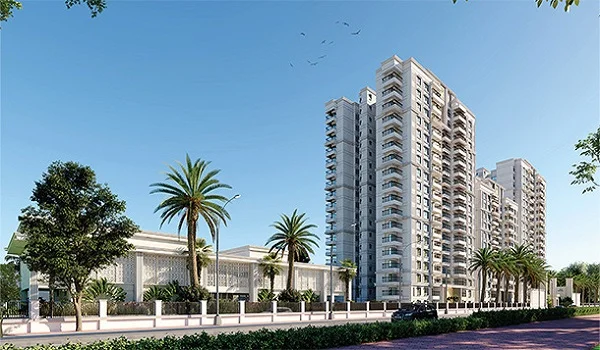  Prestige Elm Park